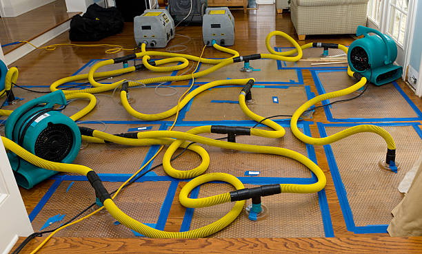 Professional Burst Pipe Water Damage technician working in Emmett, ID